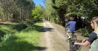 CLICK&BIKE velo vert CLICK&BIKE velo vert
