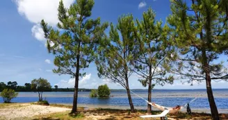 bisca-lac-plage-lacustre bisca-lac-plage-lacustre