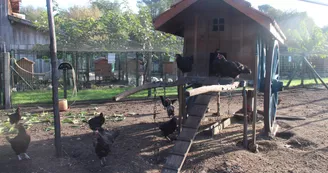 ferme-pédagogique-association-culturelle-biscarrossaise ferme-pédagogique-association-culturelle-biscarrossaise