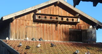 IMG_1702 IMG_1702