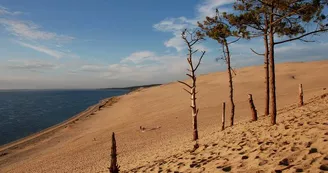Dune du Pilat Dune du Pilat