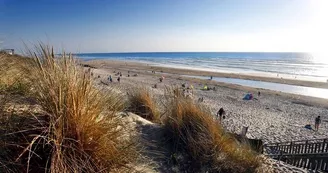 Plage-ocean-bisca-nature Plage-ocean-bisca-nature