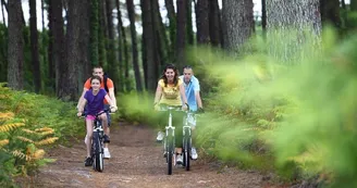 velo-foret-famille-biscarrosse velo-foret-famille-biscarrosse