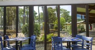 VTF-bisca-resto VTF-bisca-resto