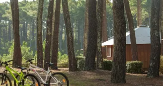 VTF-bisca-vélos VTF-bisca-vélos