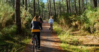 piste-cyclable-lue-labouheyre.jpg